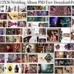12X36 Wedding Album PSD