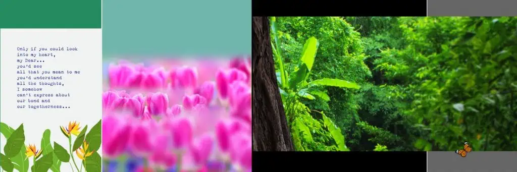 12x36 HD PSD Backgrounds Free Download 2023