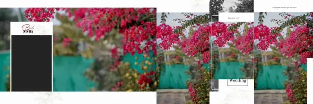 Album Background Design