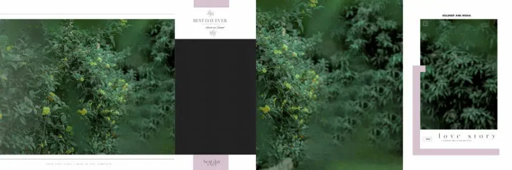 Album Background Design