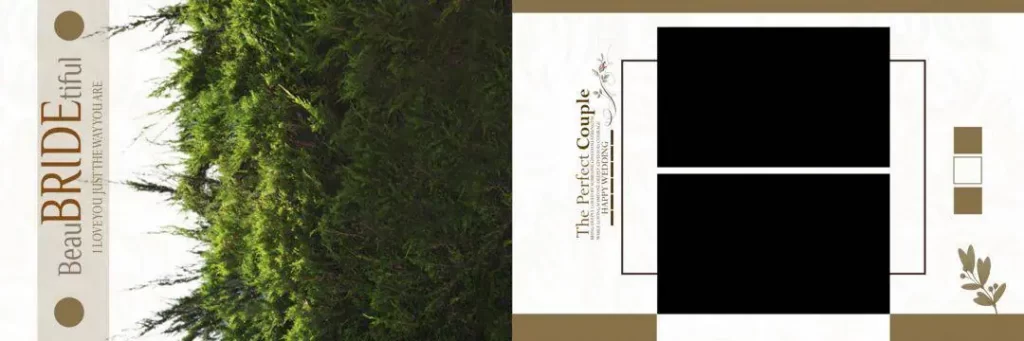 Wedding Creative Album Design