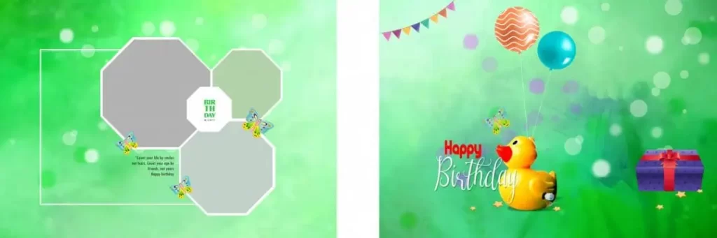 Birthday Album Design 12x36